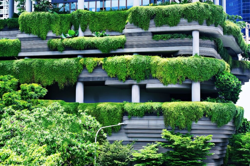 green plants on white concrete fence